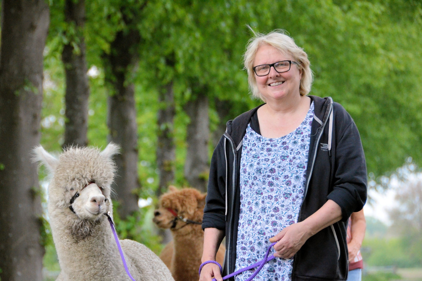 Alpaca onderonsje