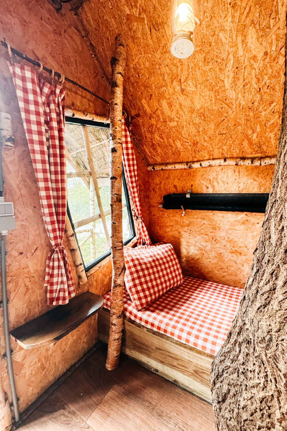 Overnachten in een boomhut