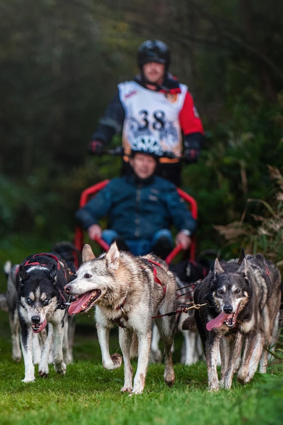 Husky karrentocht