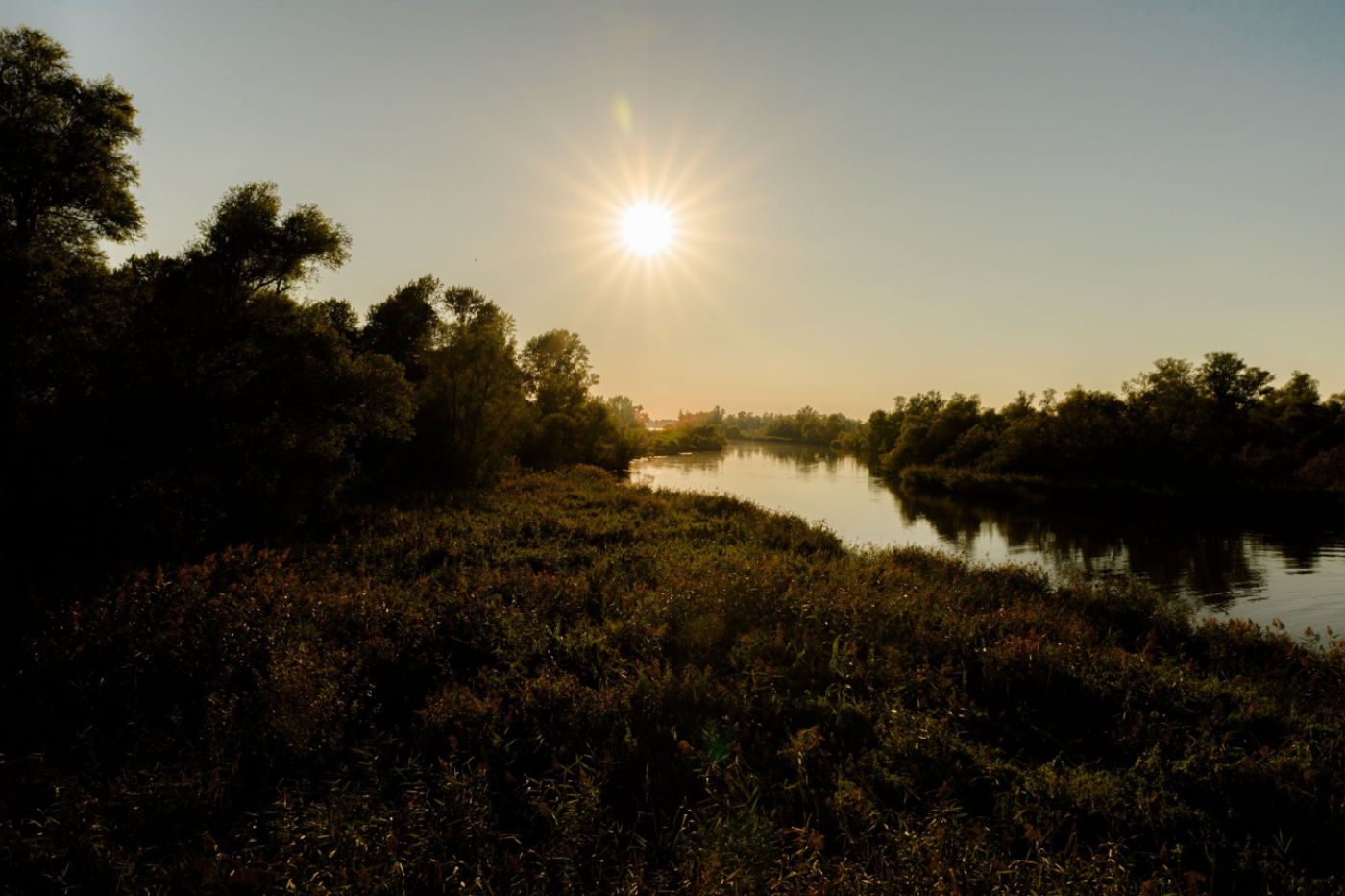 Rondvaart Biesbosch