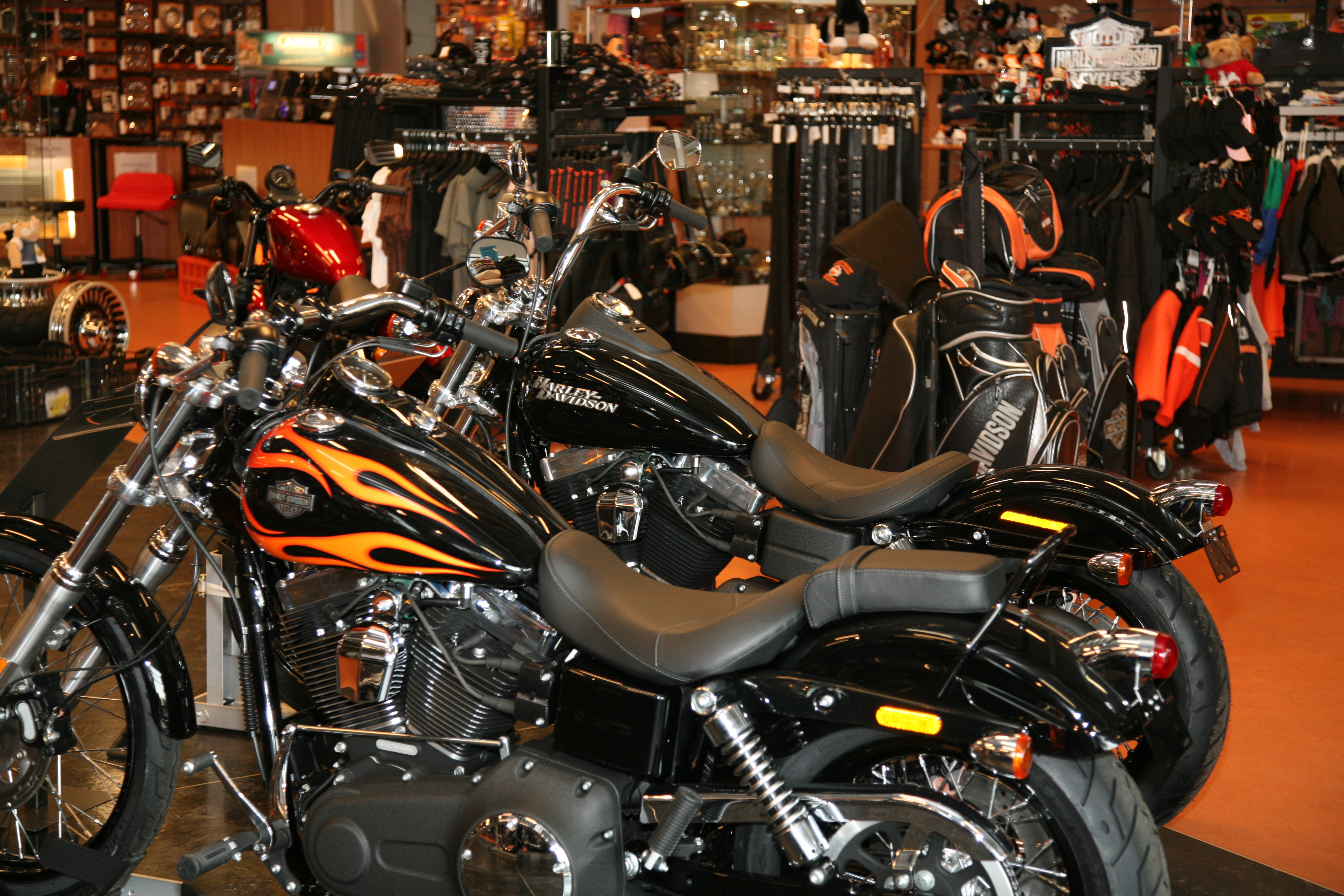 Een Harley-Davidson voor 1 dag!