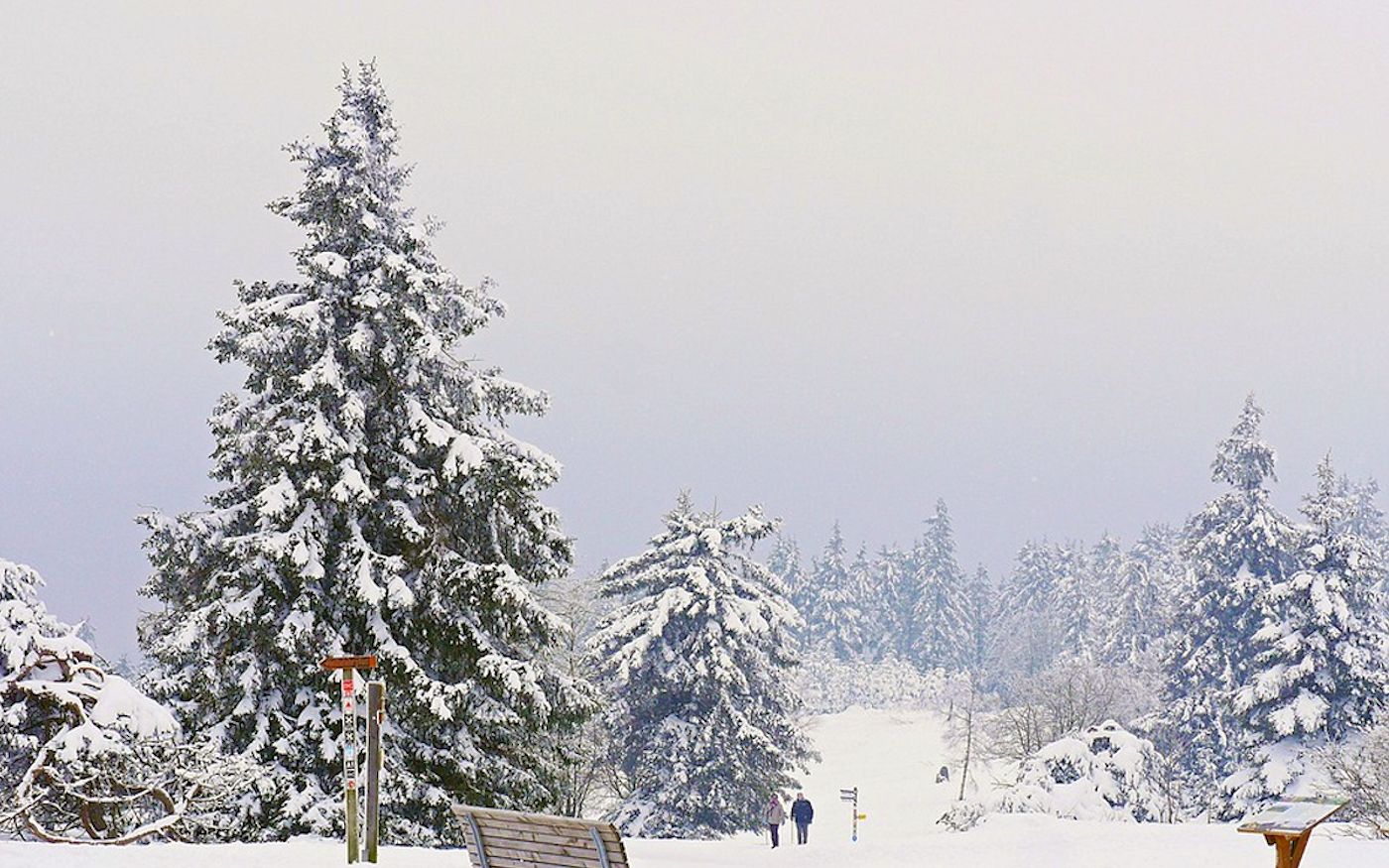 Dagje Winterberg