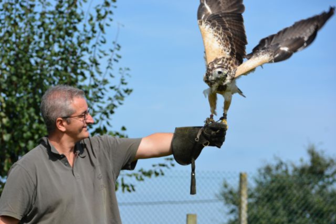 roofvogelworkshop vaderdag cadeau