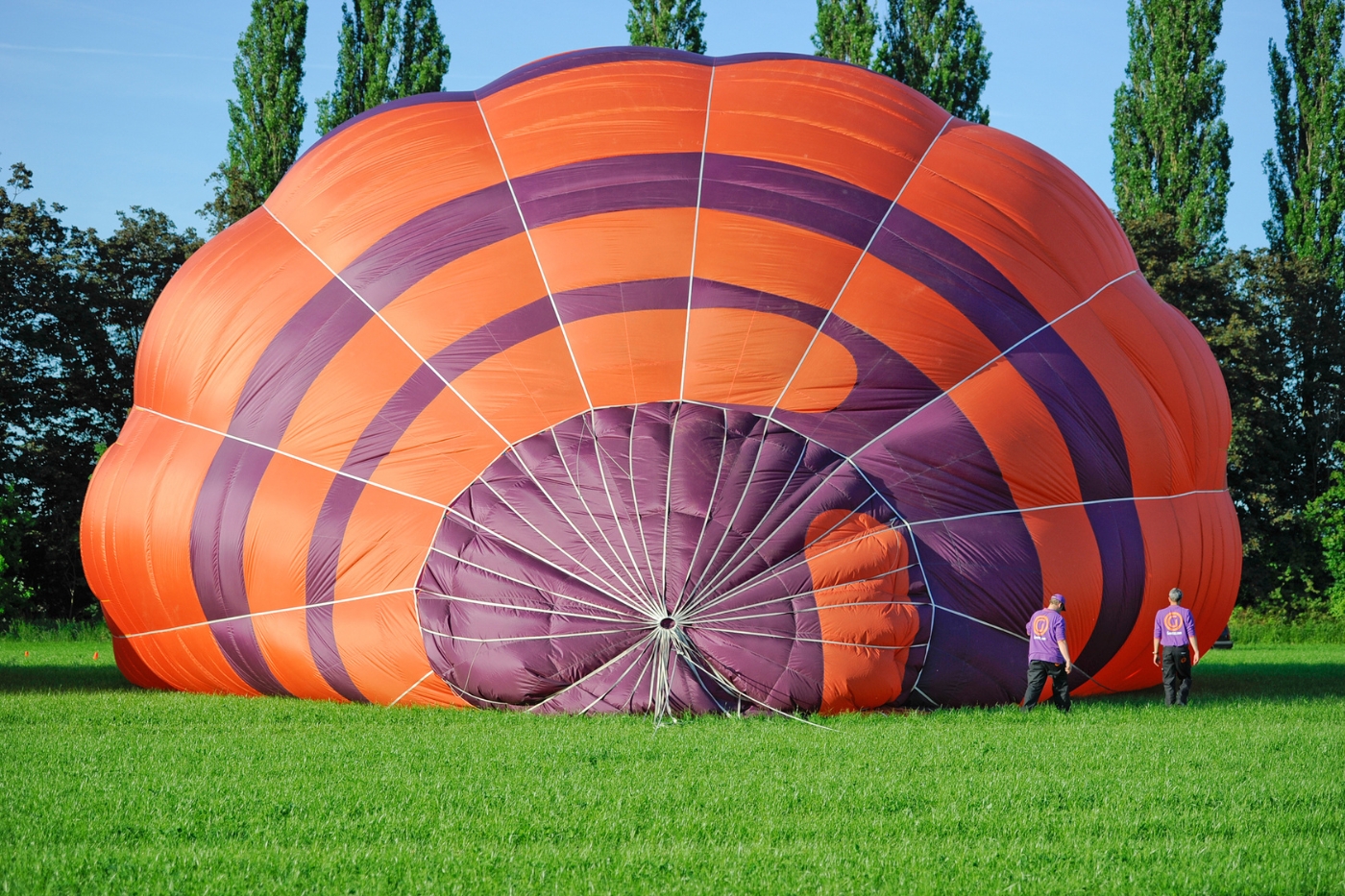 Ballonvaren 