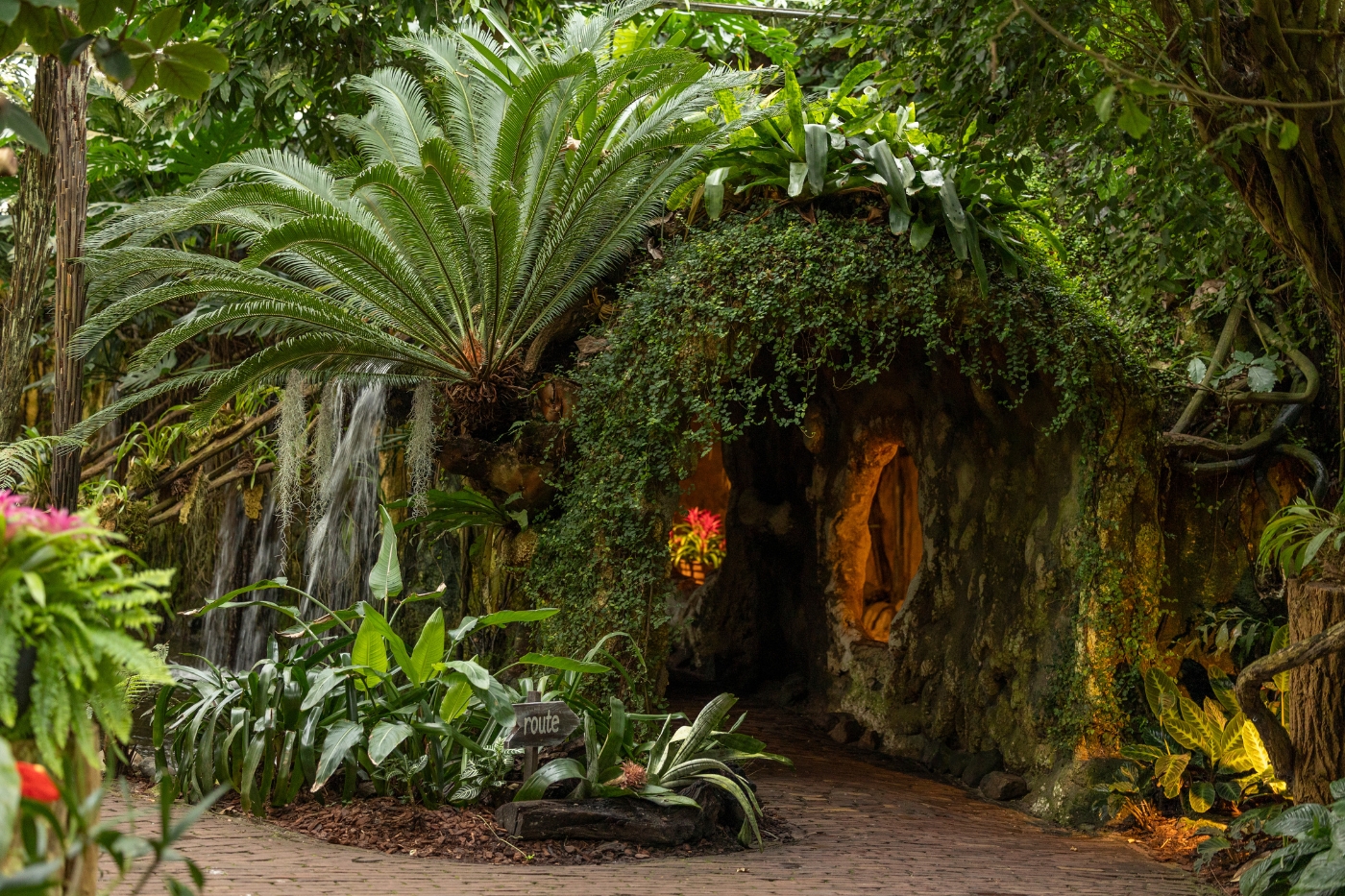 Pantropica