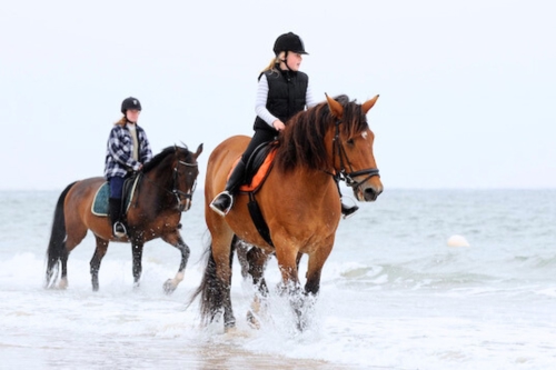 1-Paard-rijden-op-het-strand-c.jpg