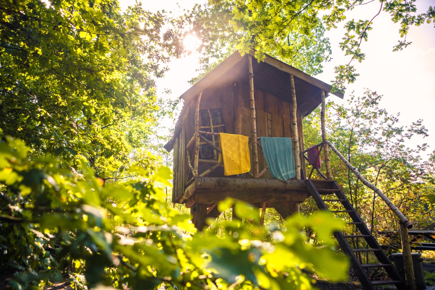 overnachten in een boomhut