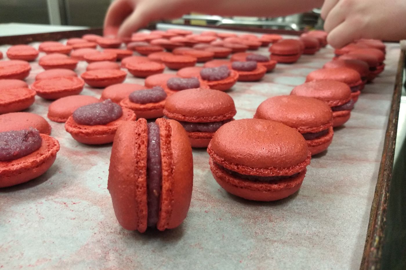 Workshop macarons maken