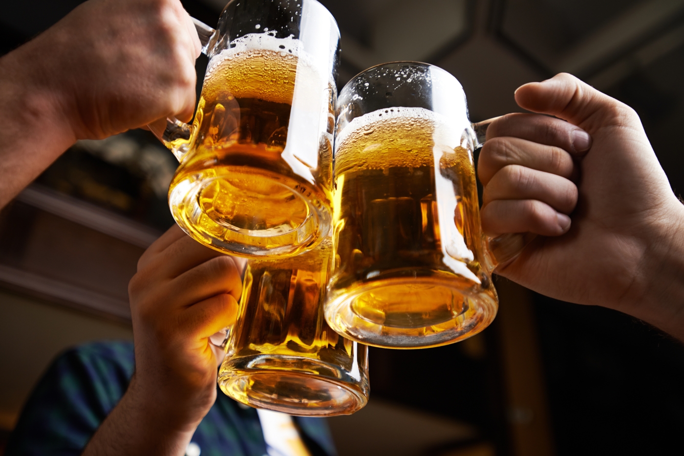 Bierovernachting inclusief diner