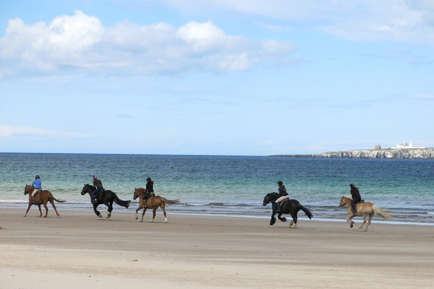 Paardrijden op het strand
