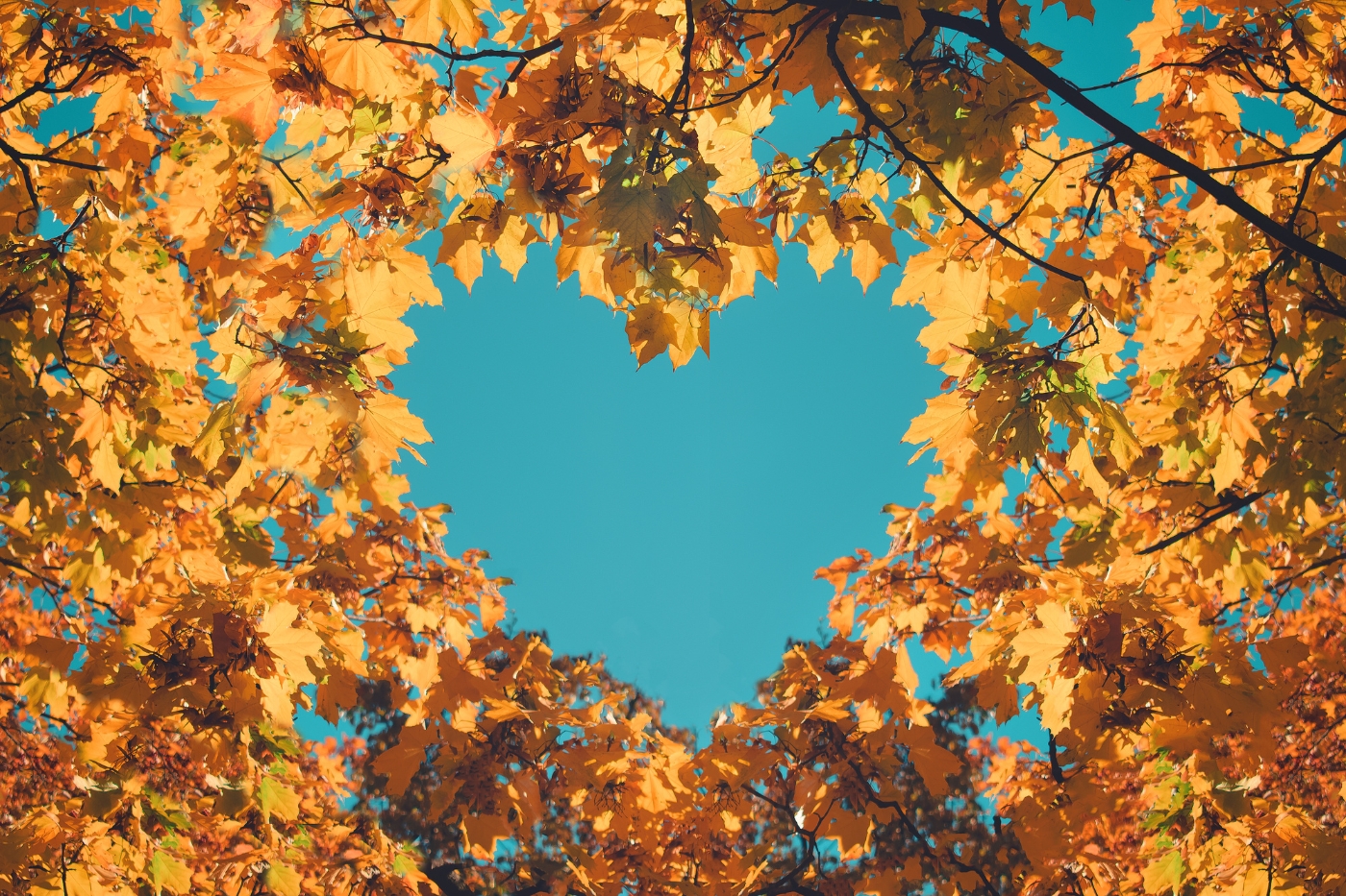 Top 10 herfst cadeaus