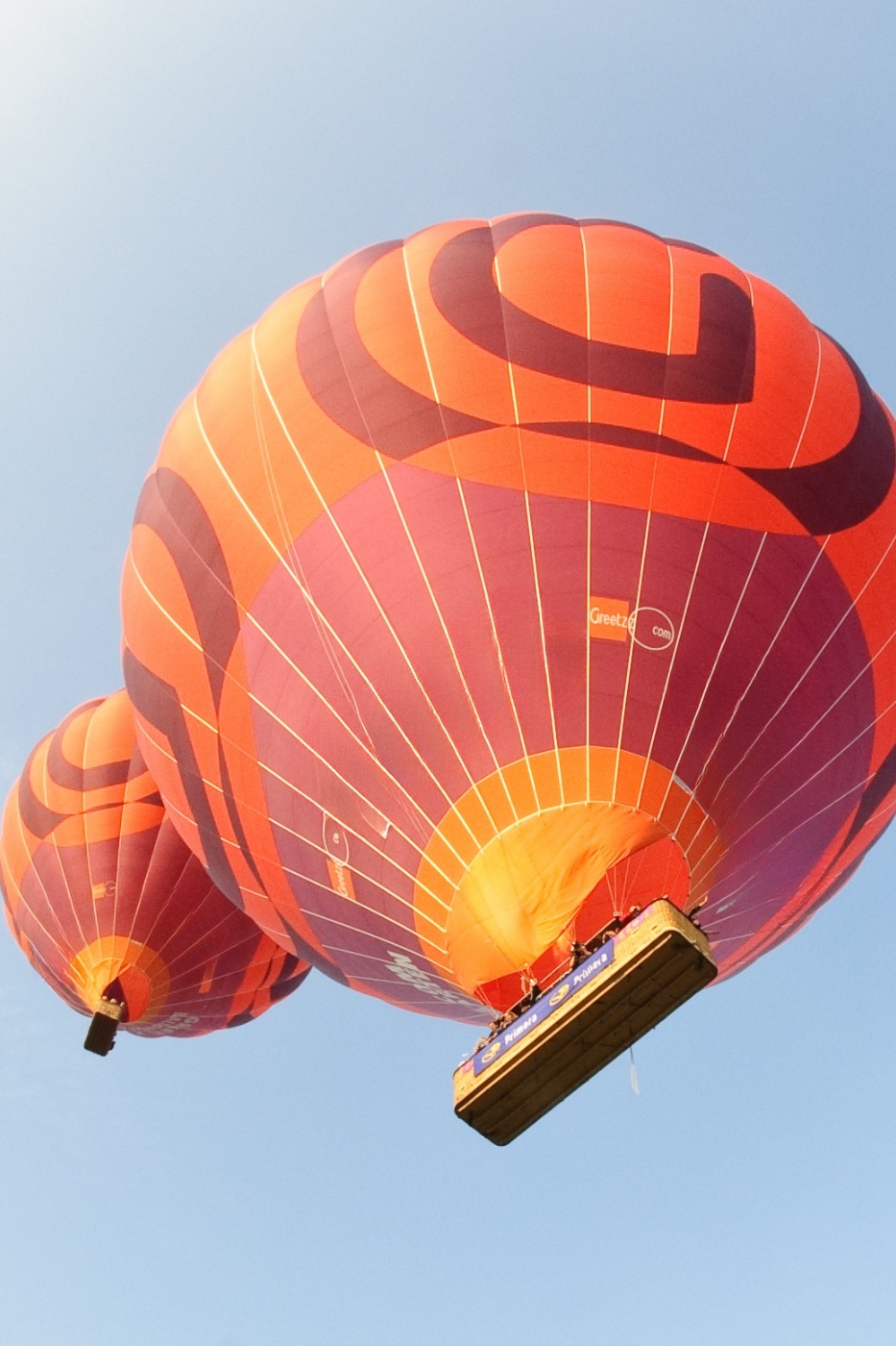 Ballonvaren