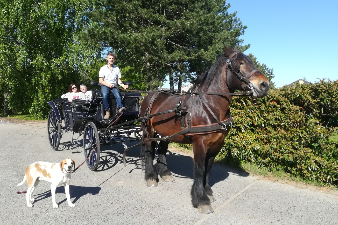 Koetsrit met picknick cadeau