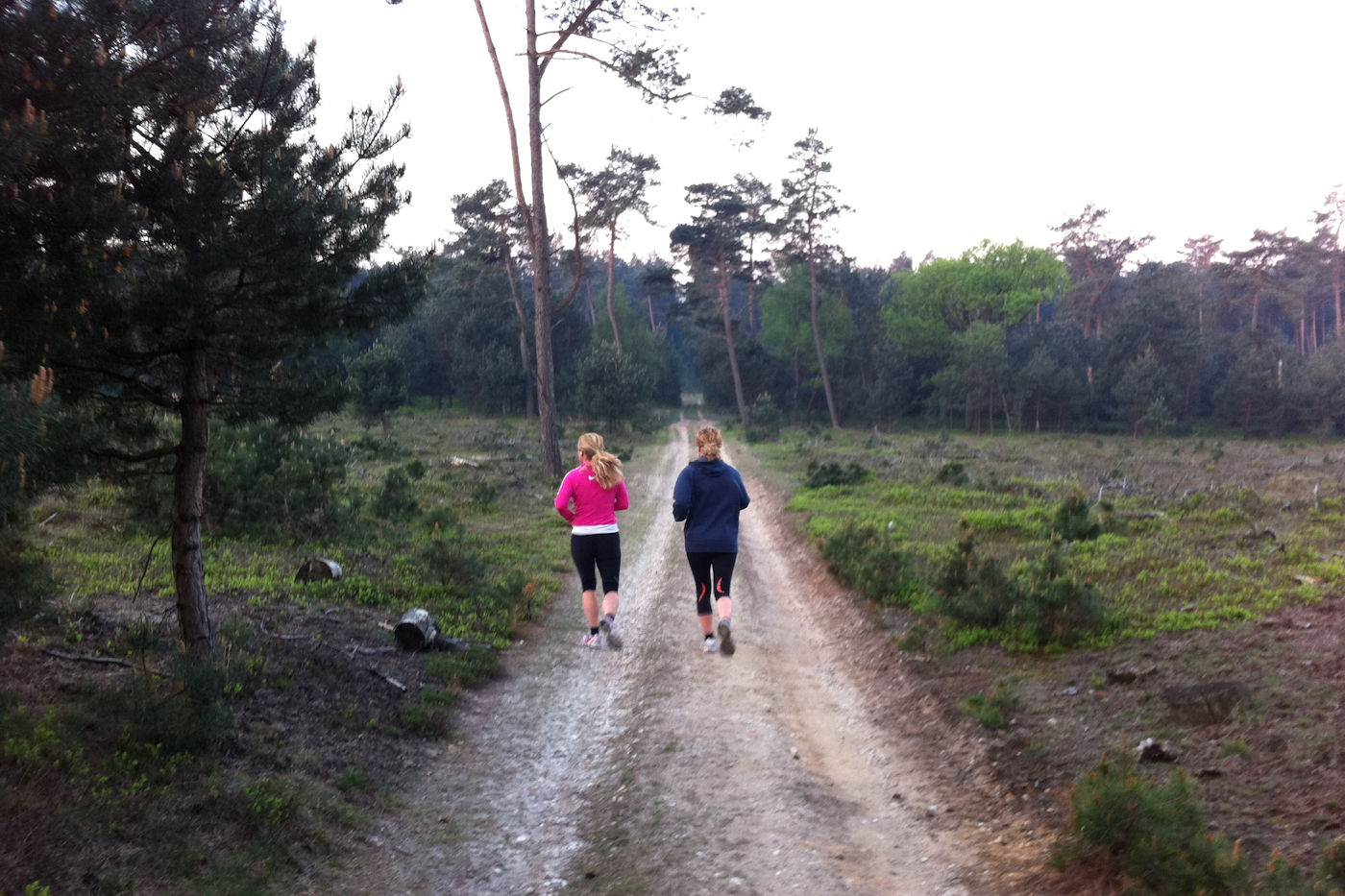 Safari joggen