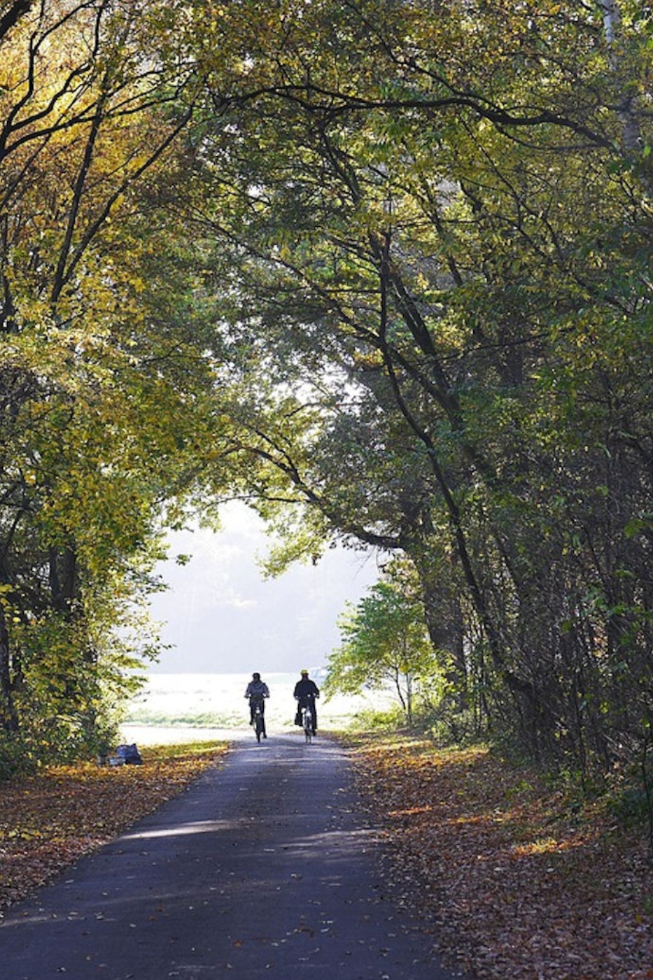 Culinaire fietsroute bos cadeaubon