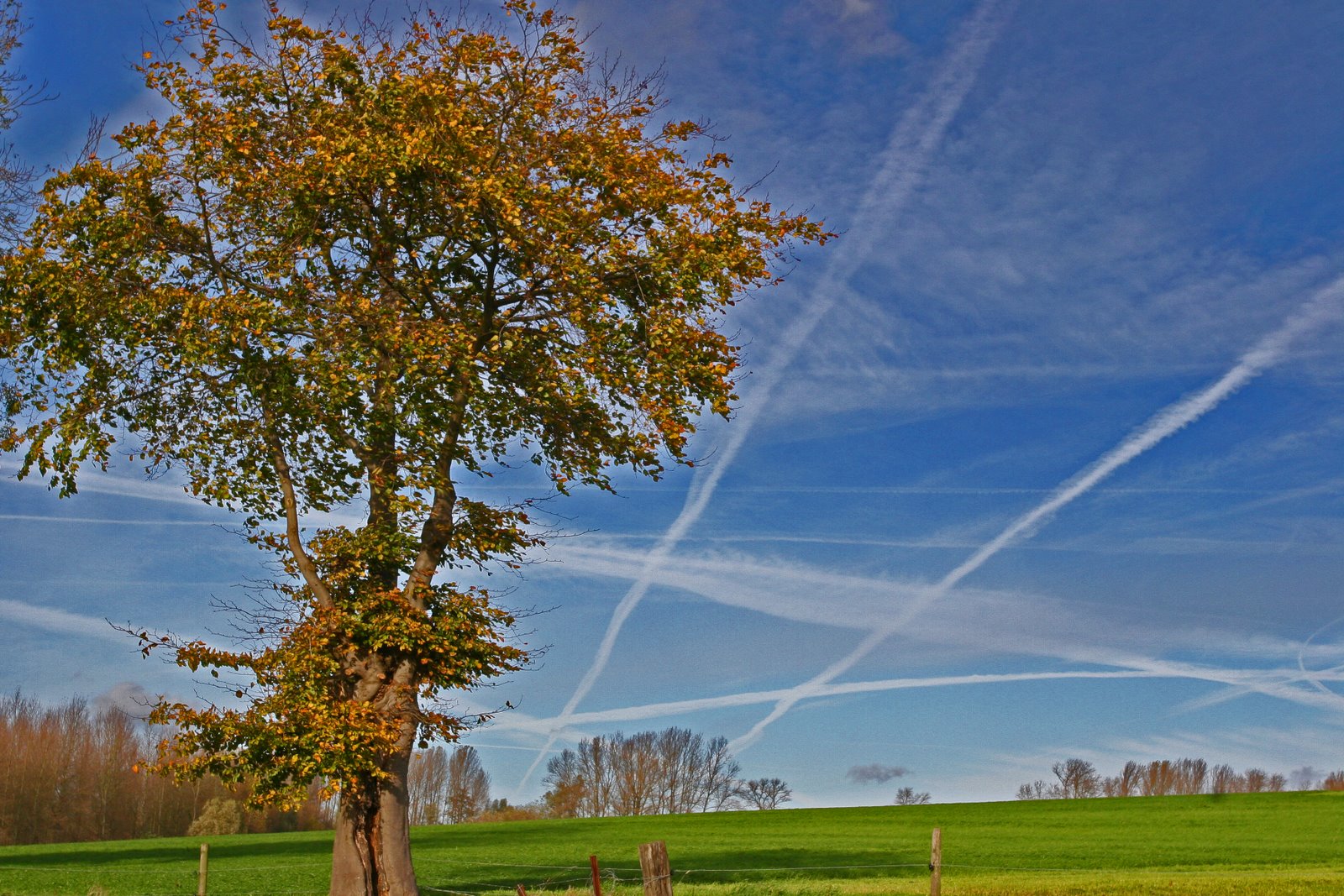 Overnachten en picknick