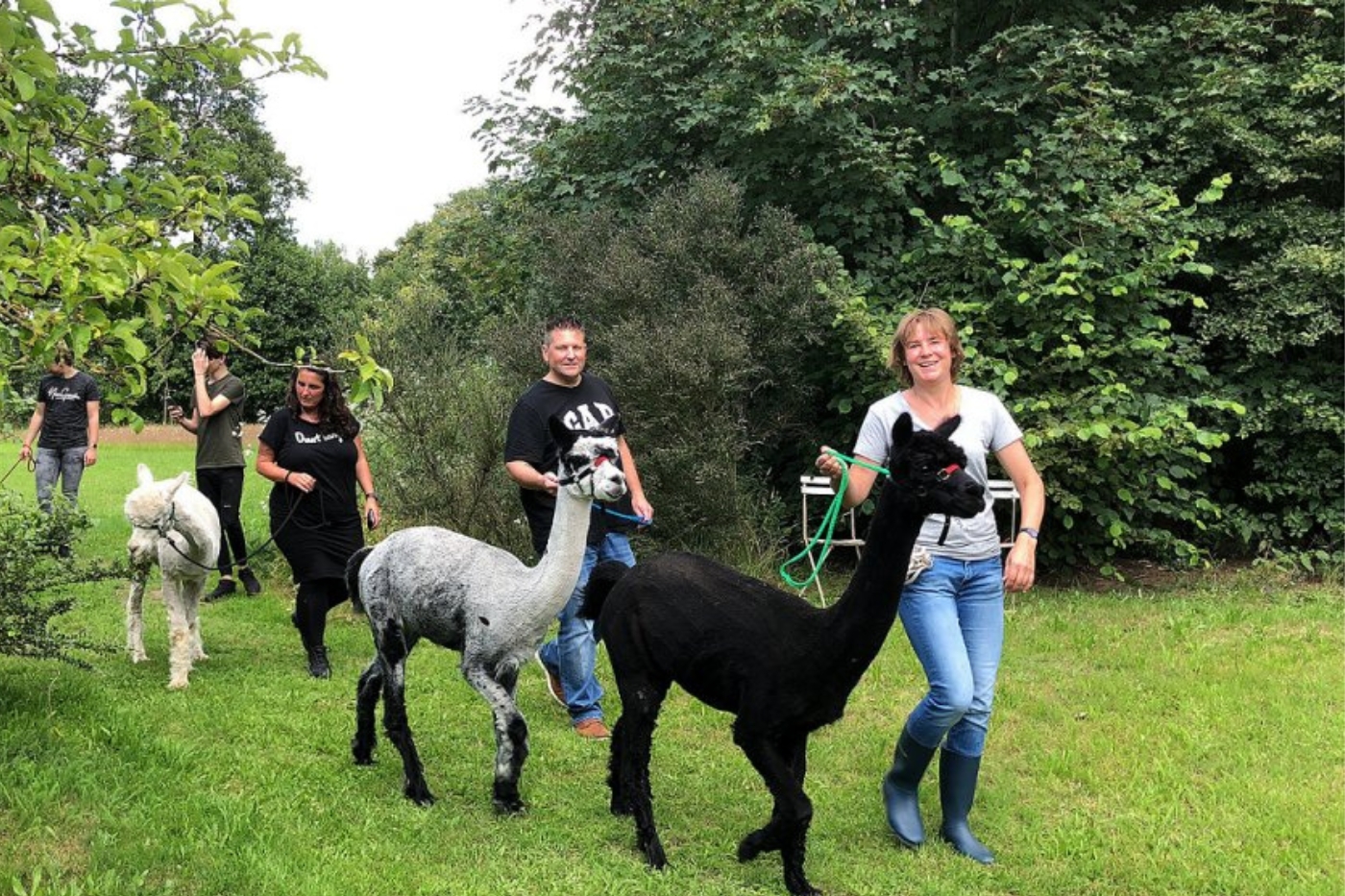 Budget cadeautip: een Alpaca onderonsje