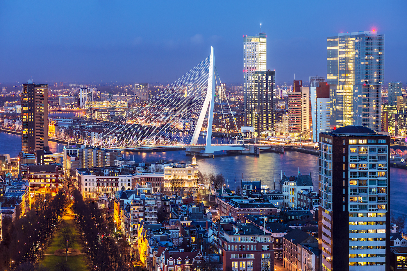 Rotterdam by night cruise