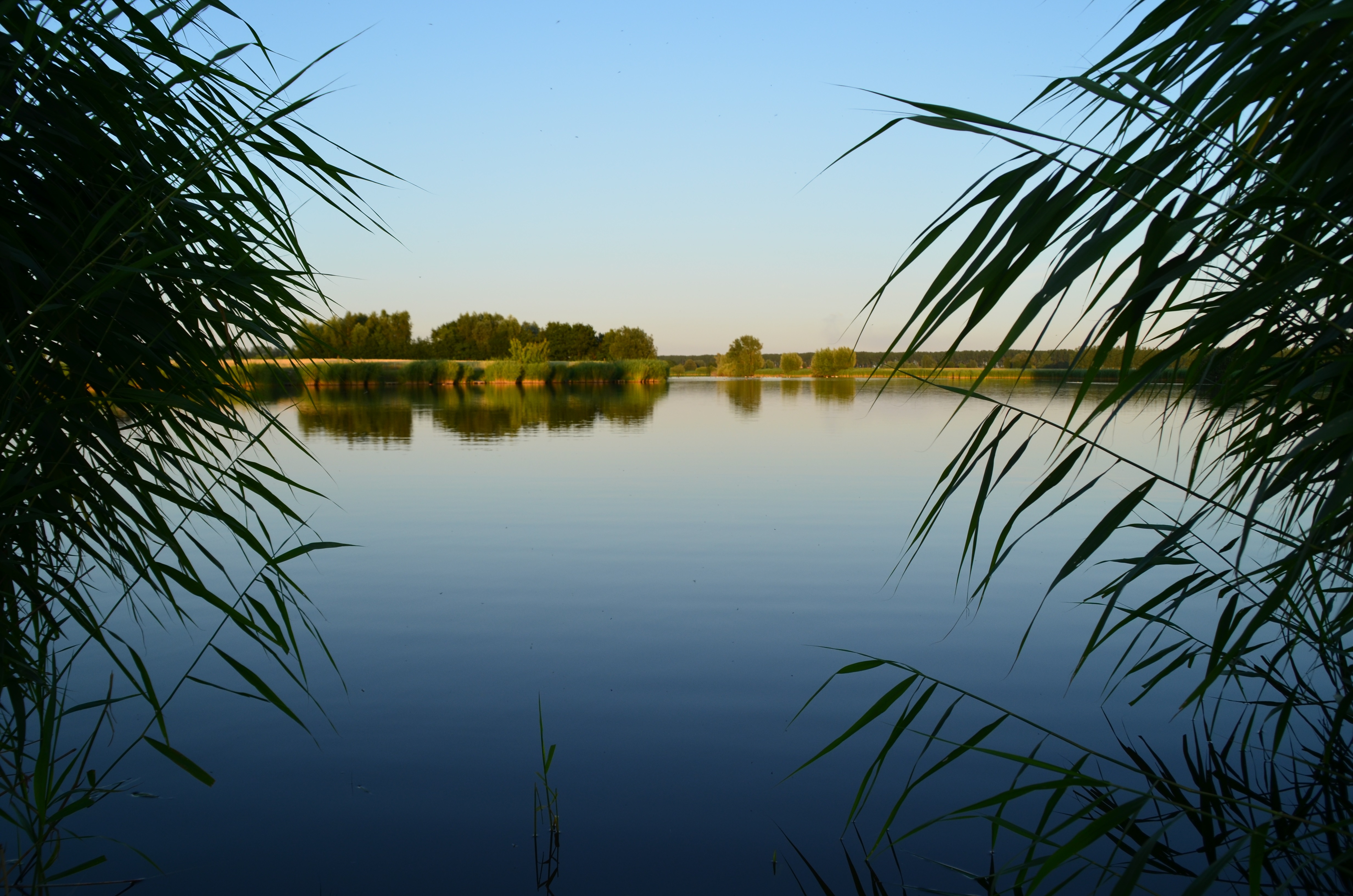Koetsrit met picknick