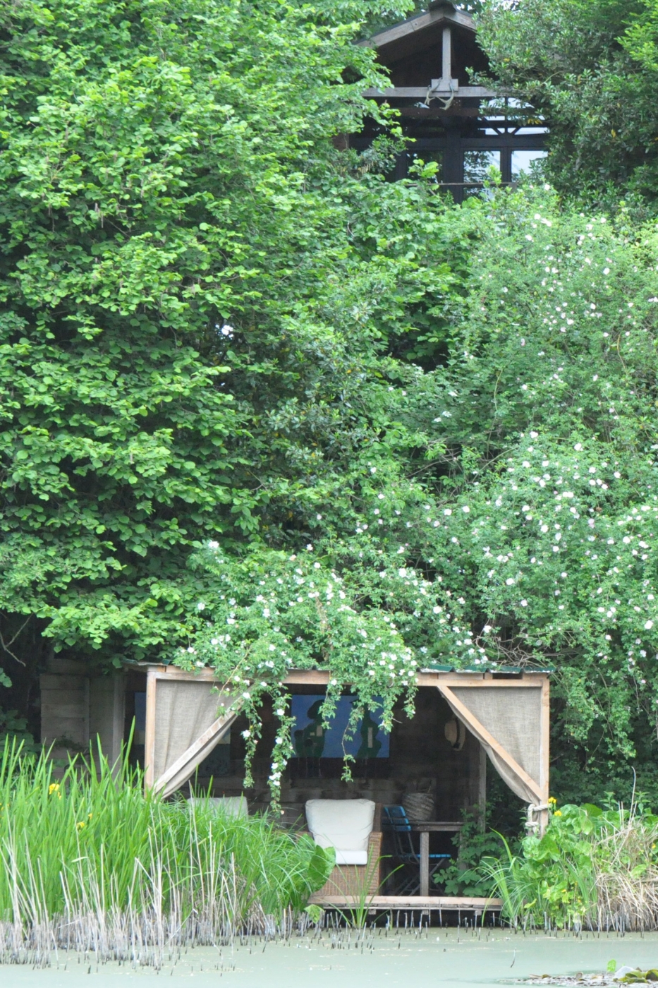 Overnachting in een boomhut