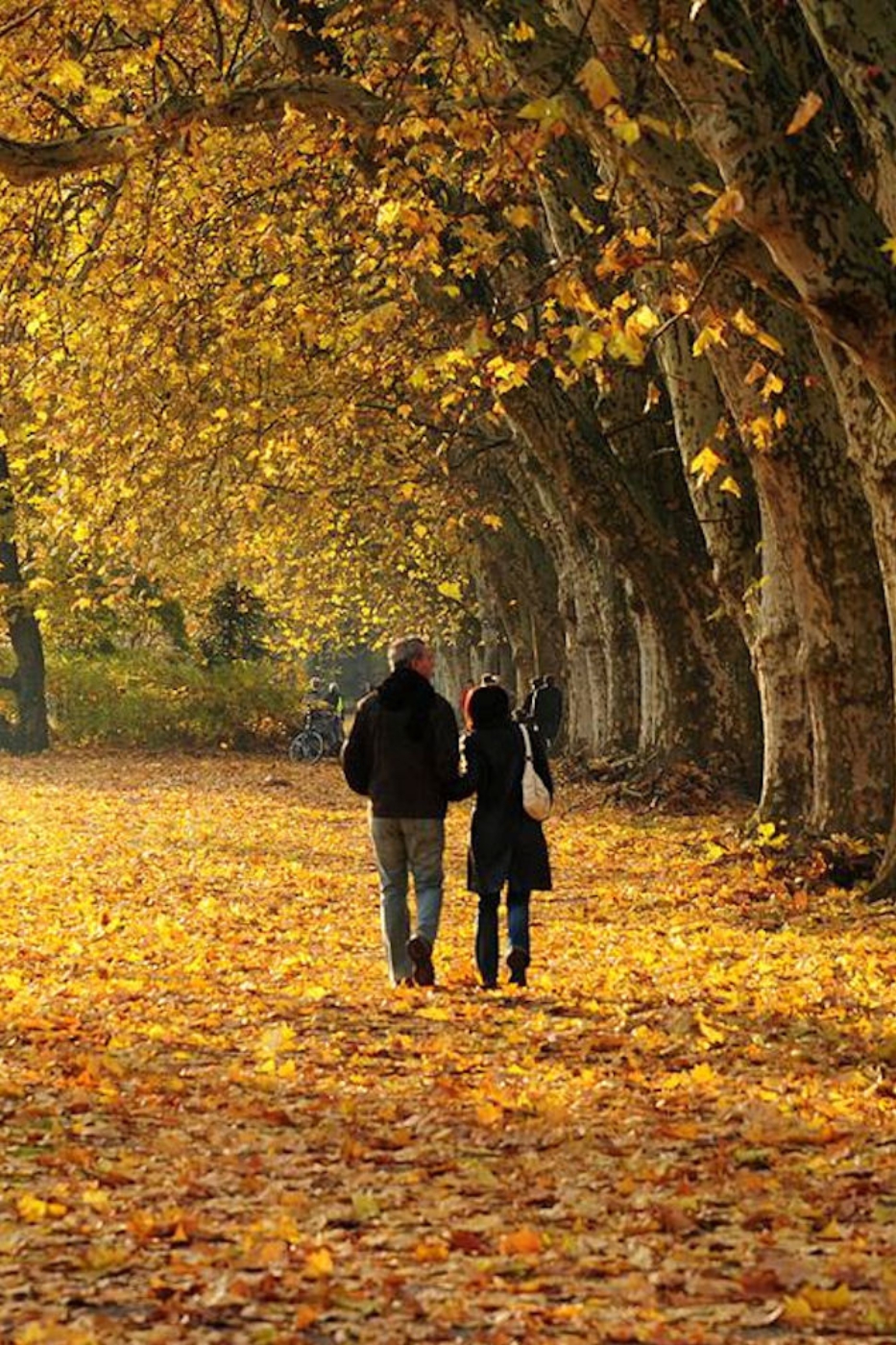 Culinaire wandelroute