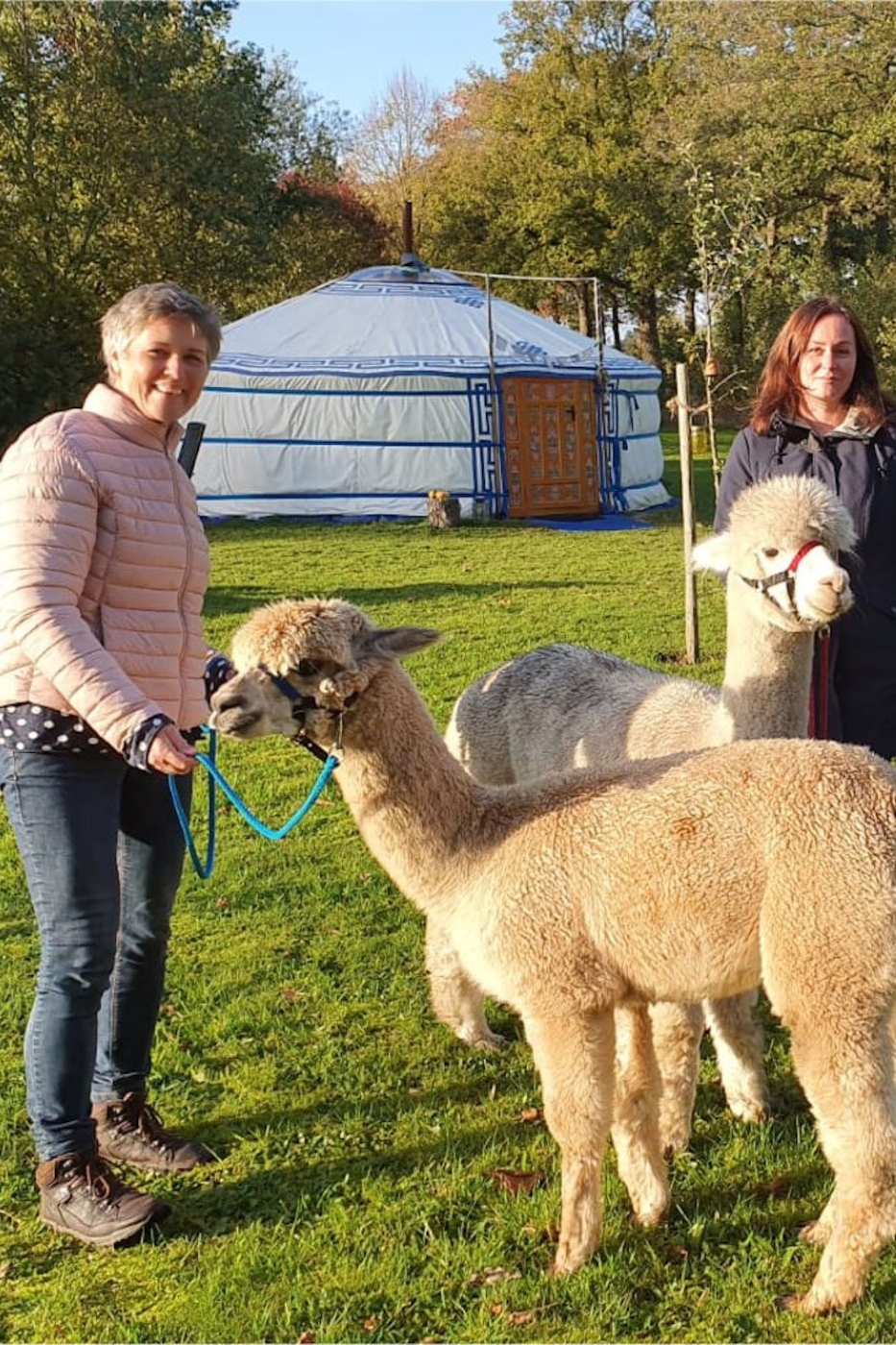 Alpaca onderonsje