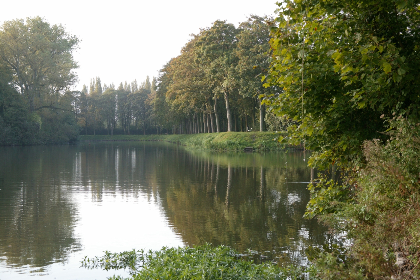 Dineren op een eiland