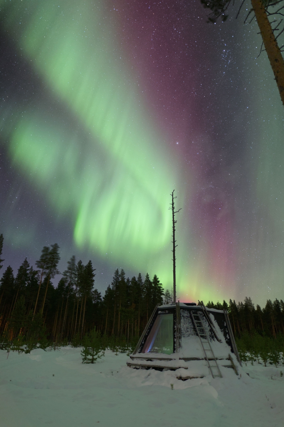 Kerstcadeau lapland reis