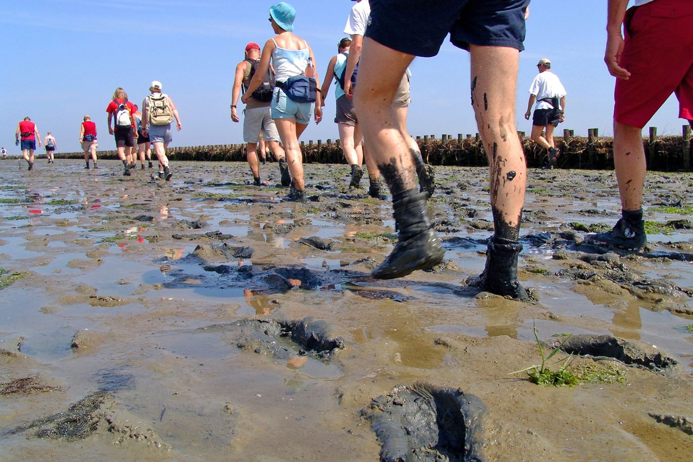 Wadlopen en wellness cadeau