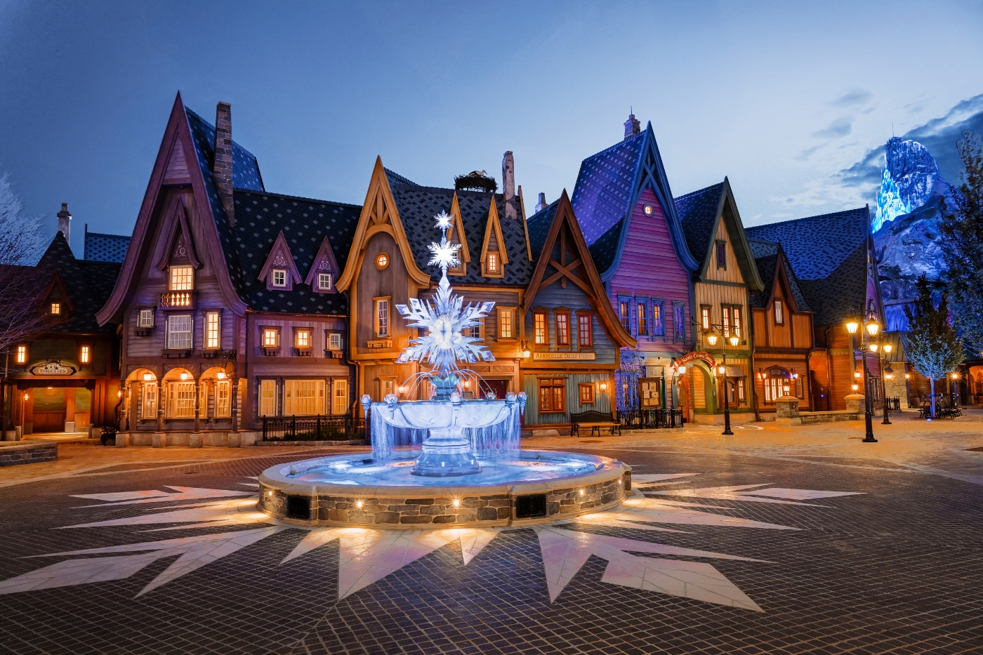 Disney Frozen world cadeau