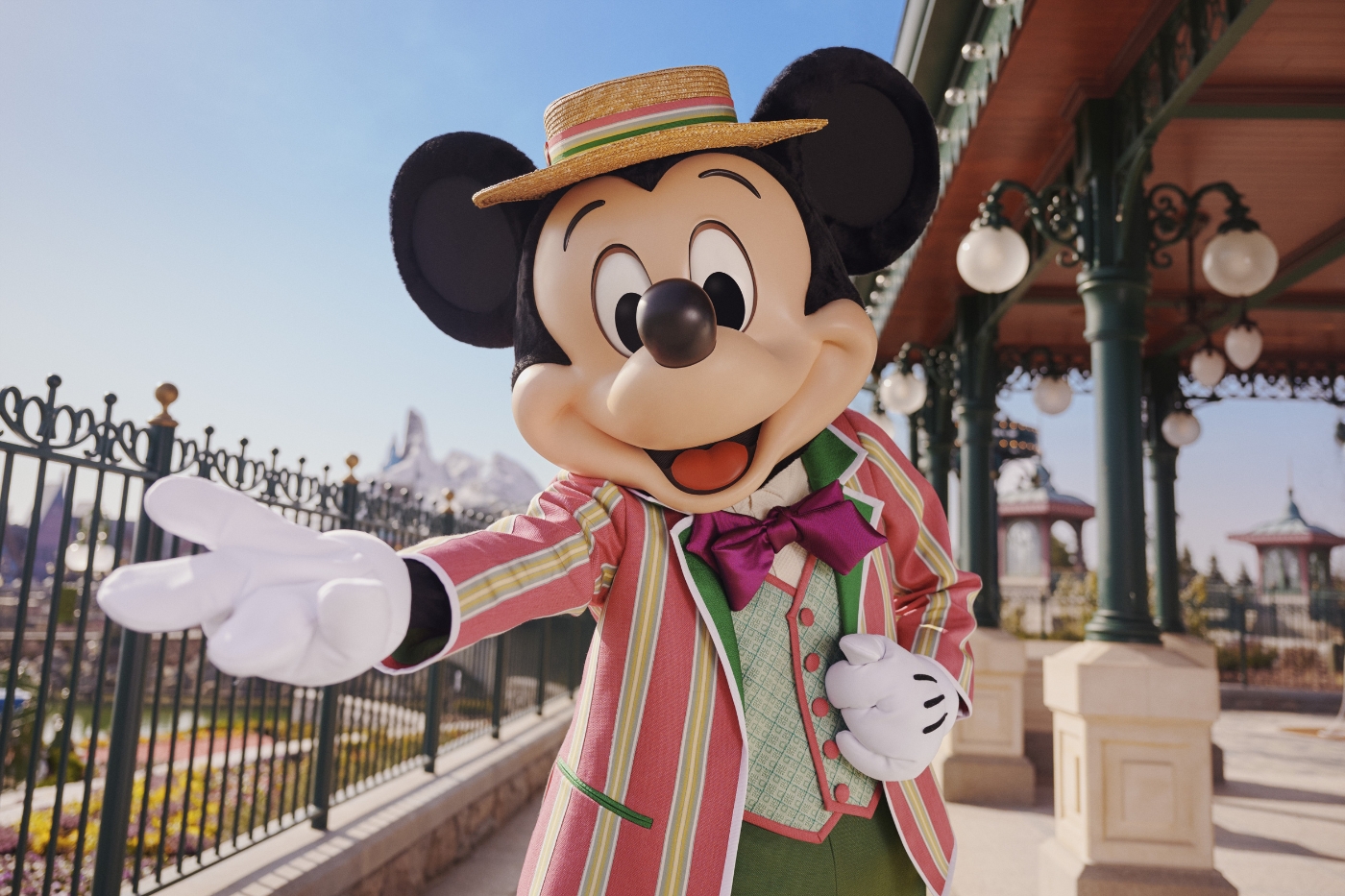 Dagje Disneyland Parijs cadeau