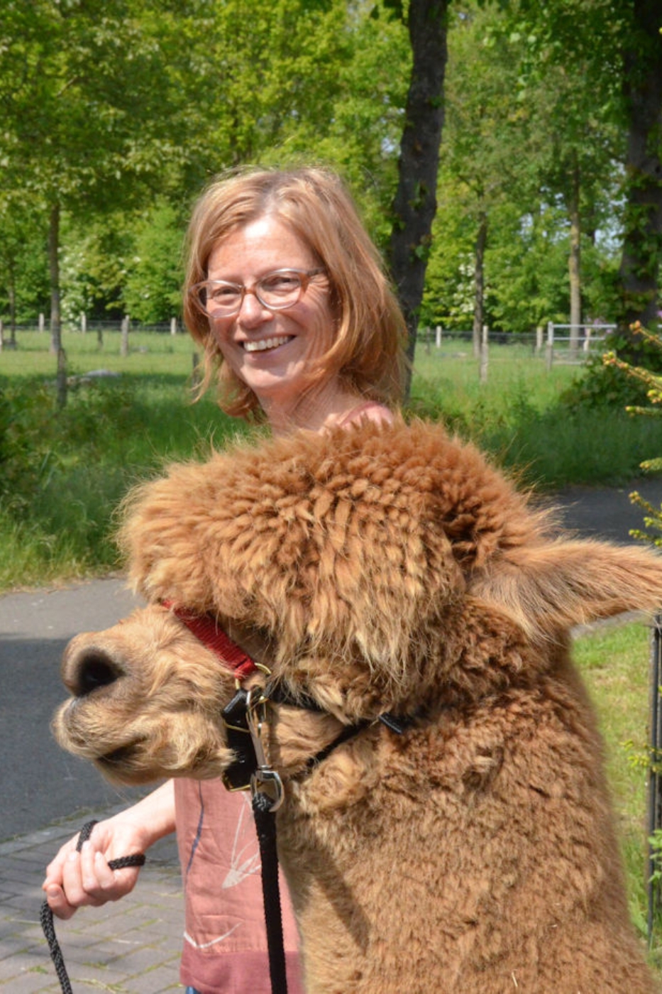 Alpaca onderonsje