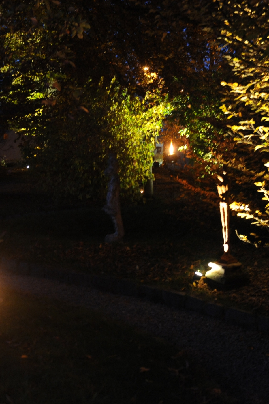 Droomnacht tussen de Elfjes