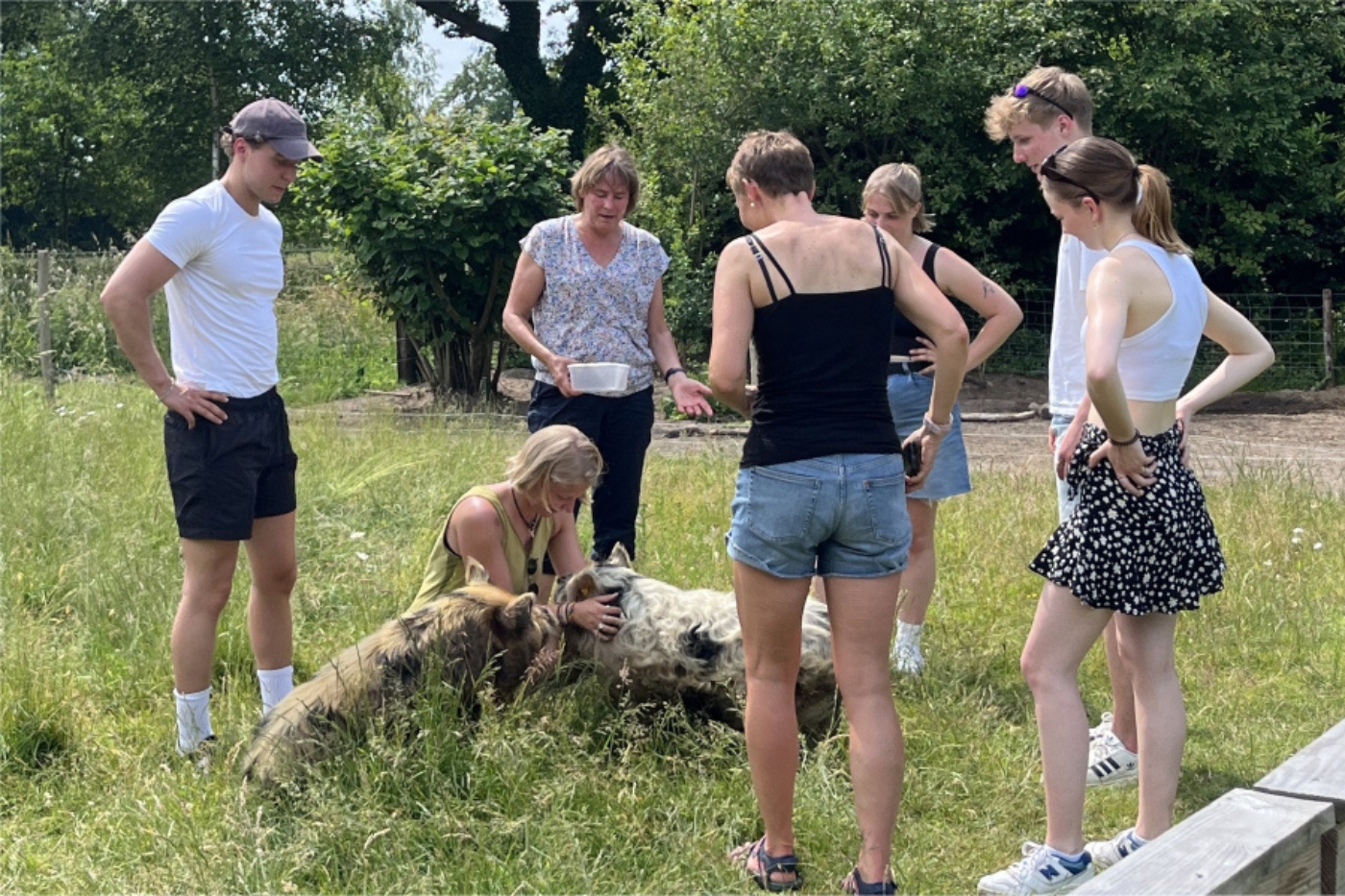 Alpaca onderonsje