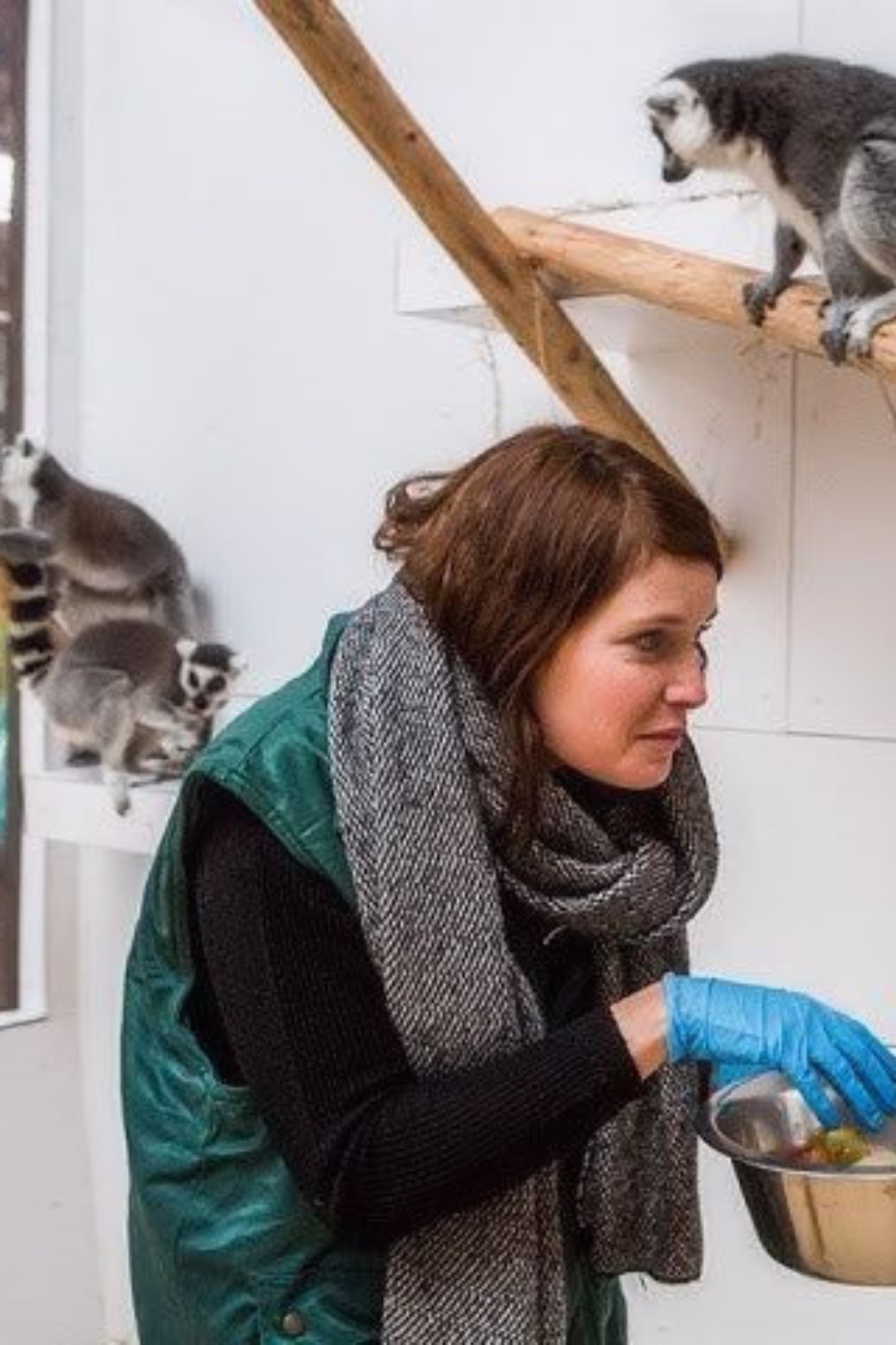 Dierenverzorger voor een dag