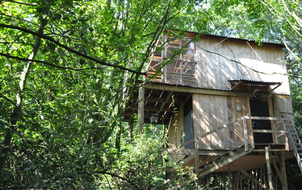 Overnachting boomhut cadeau
