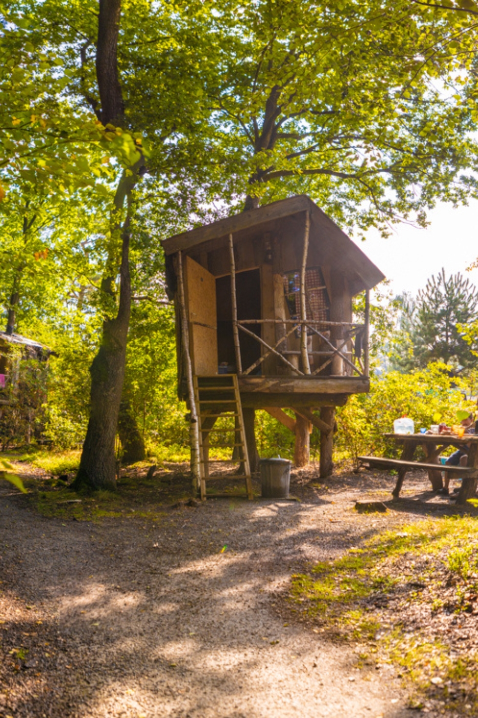 Overnachten in een boomhut
