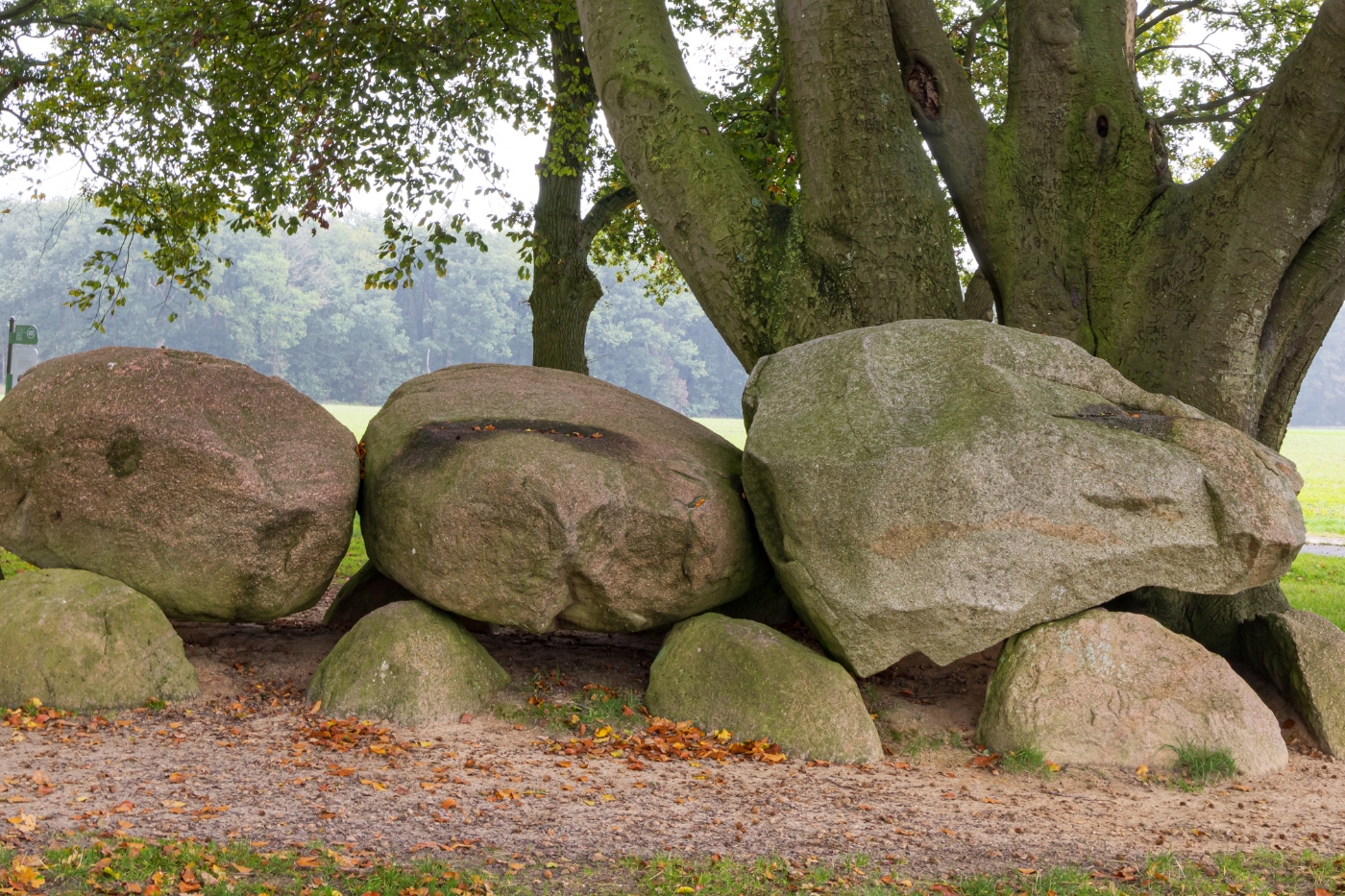 drenthe cadeaus