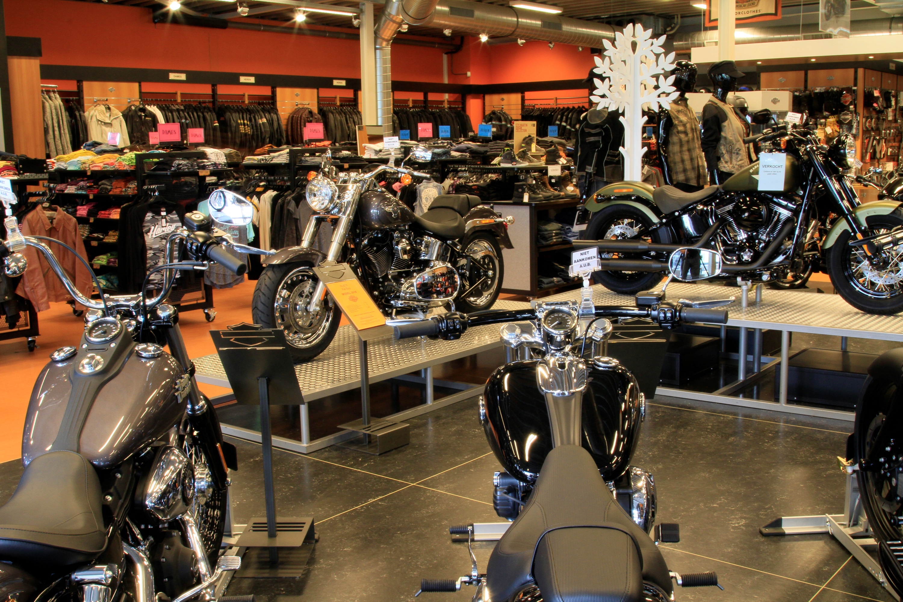 Een Harley-Davidson voor 1 dag!