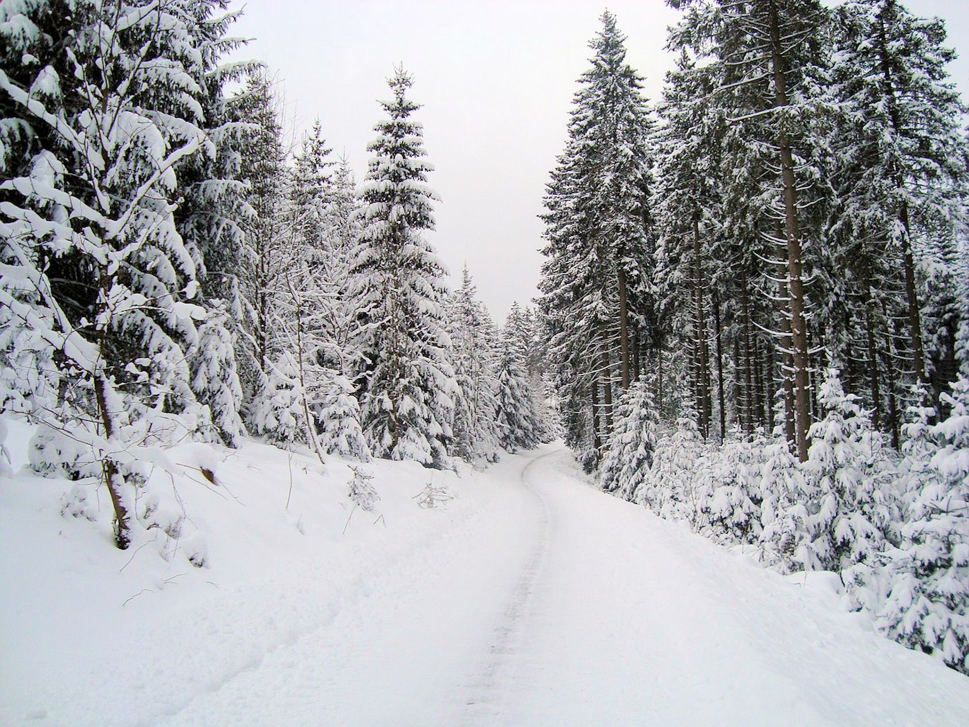 Dagje Winterberg