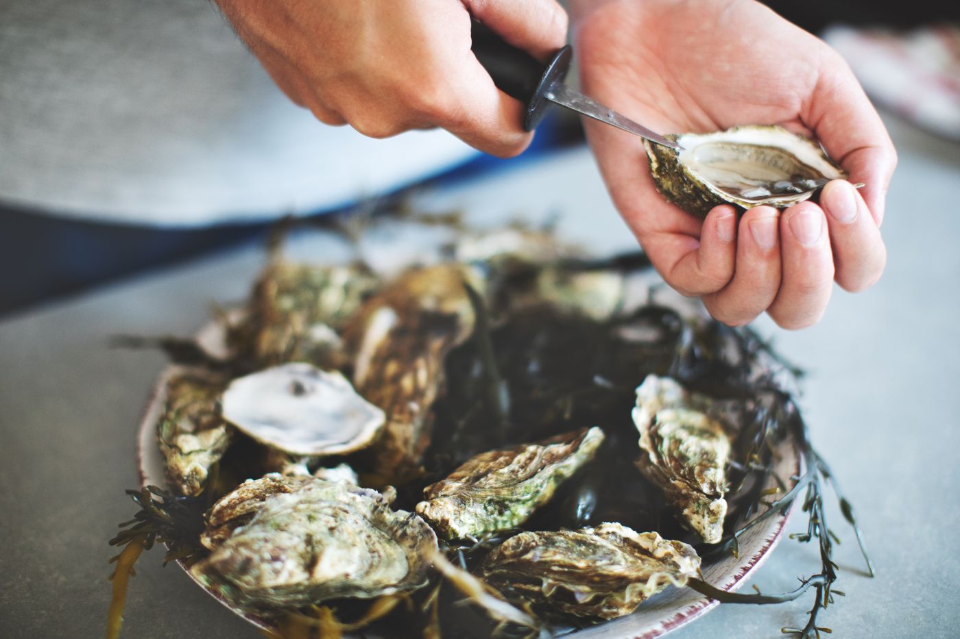 geef een oester tocht cadeau