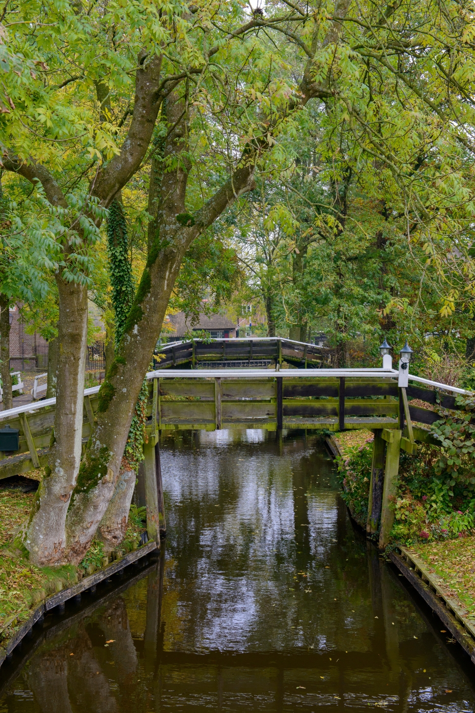 Varen door Giethoorn