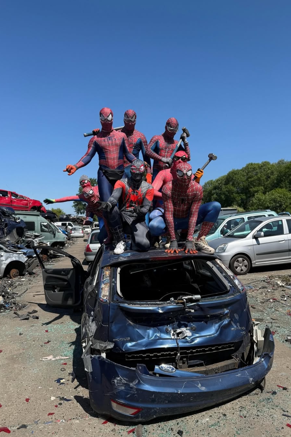 Lekker auto's meppen