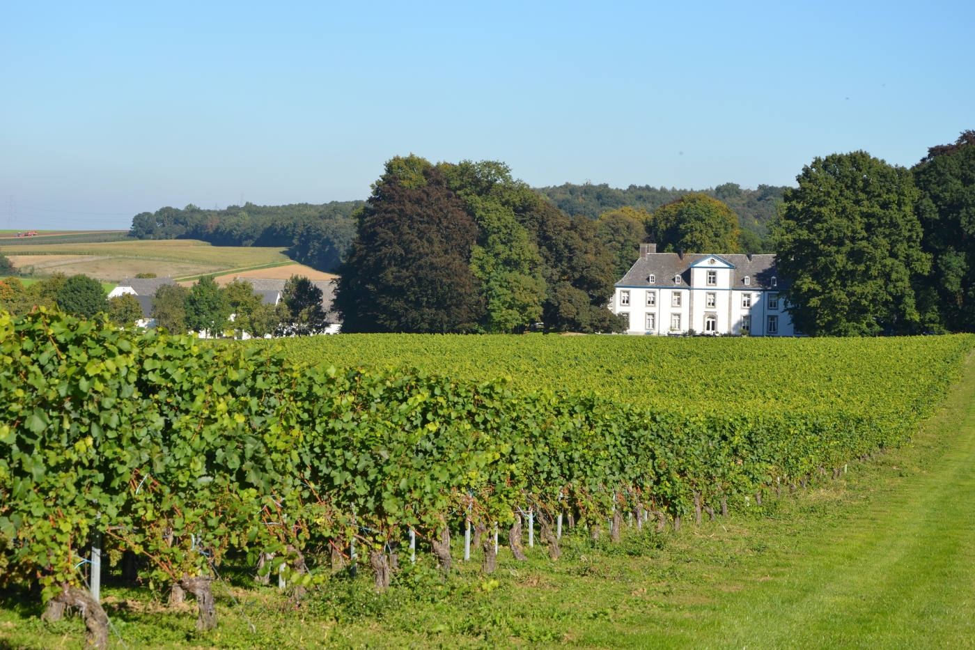 cadeaubon Wijnproeverij in een kasteel