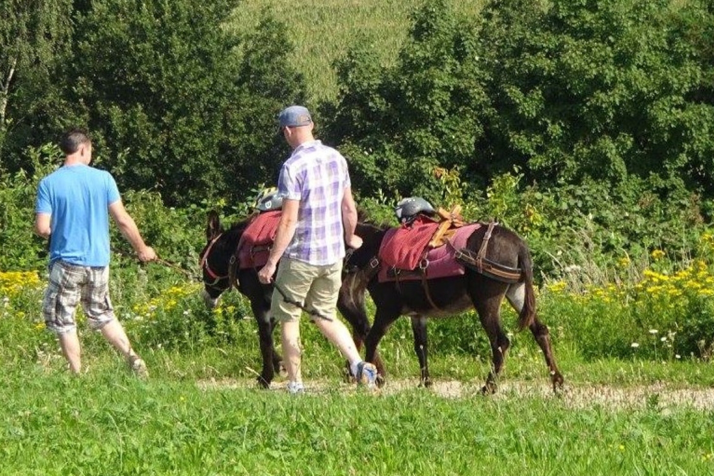 Bijzondere dieren activiteiten