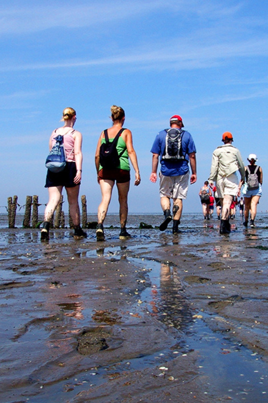 Weekendje wadlopen en wellness