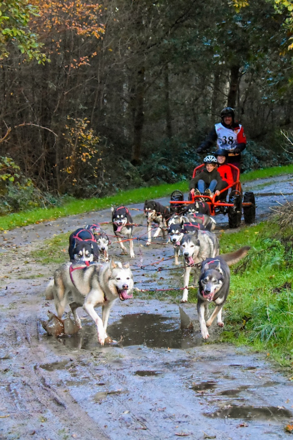 Husky karrentocht