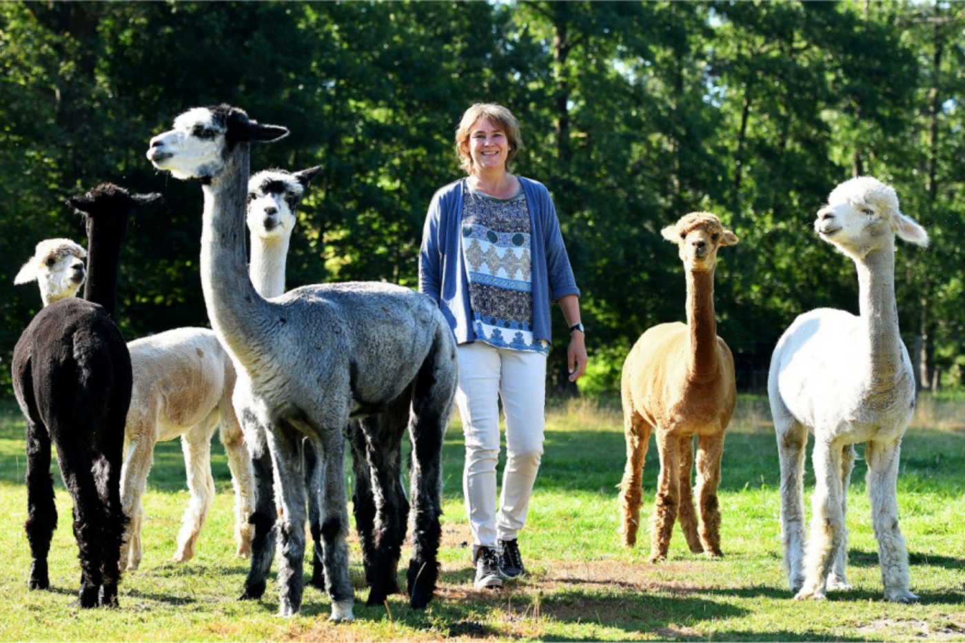Alpaca onderonsje