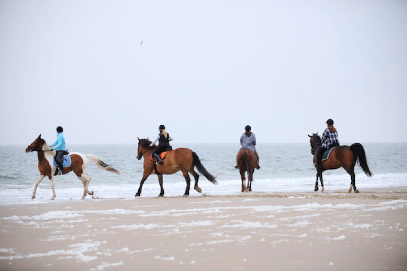 Paardrijden op het strand