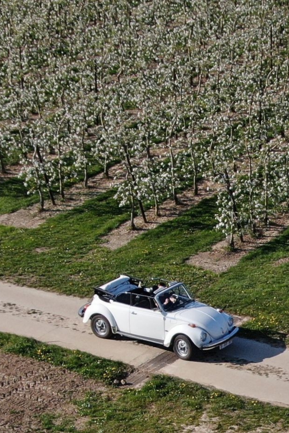 Toeren in een Klassieke VW Kever 